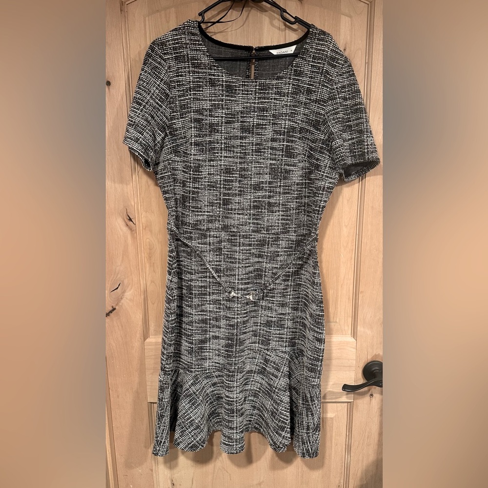 Elegant Pagani Dress